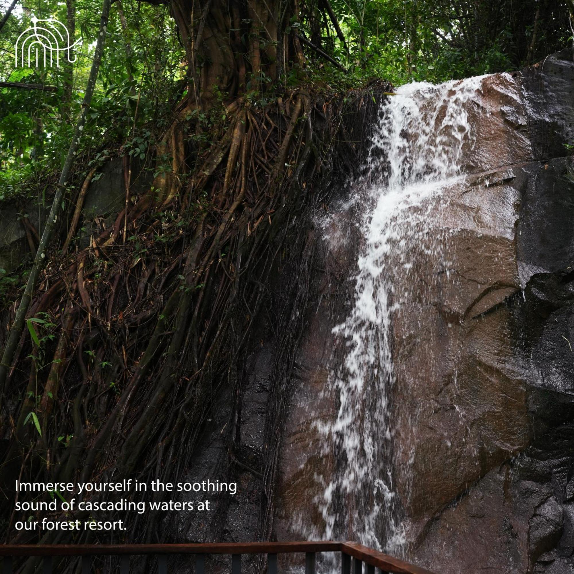 Wayanad Silverwoods Forest Resort & Spa Padinjarathara 외부 사진