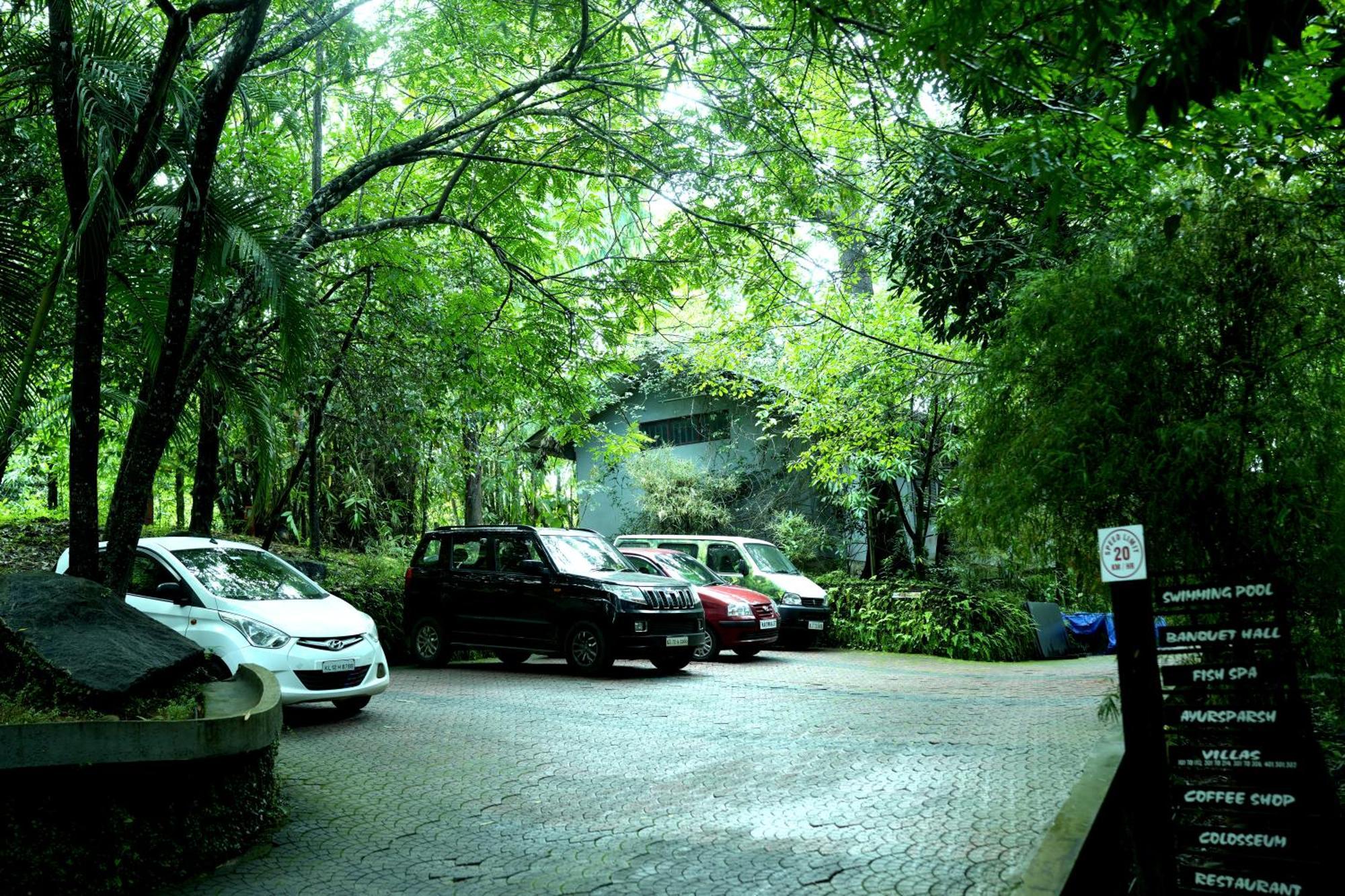 Wayanad Silverwoods Forest Resort & Spa Padinjarathara 외부 사진