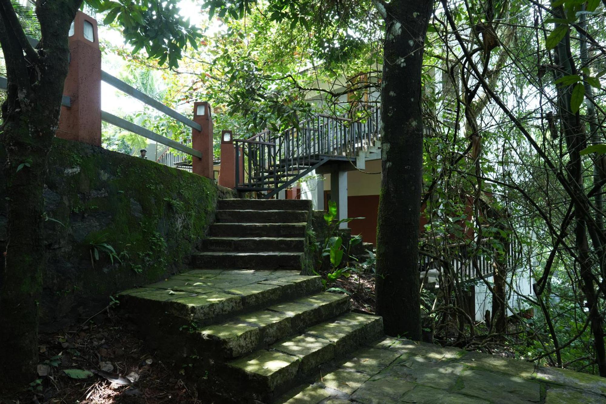 Wayanad Silverwoods Forest Resort & Spa Padinjarathara 외부 사진