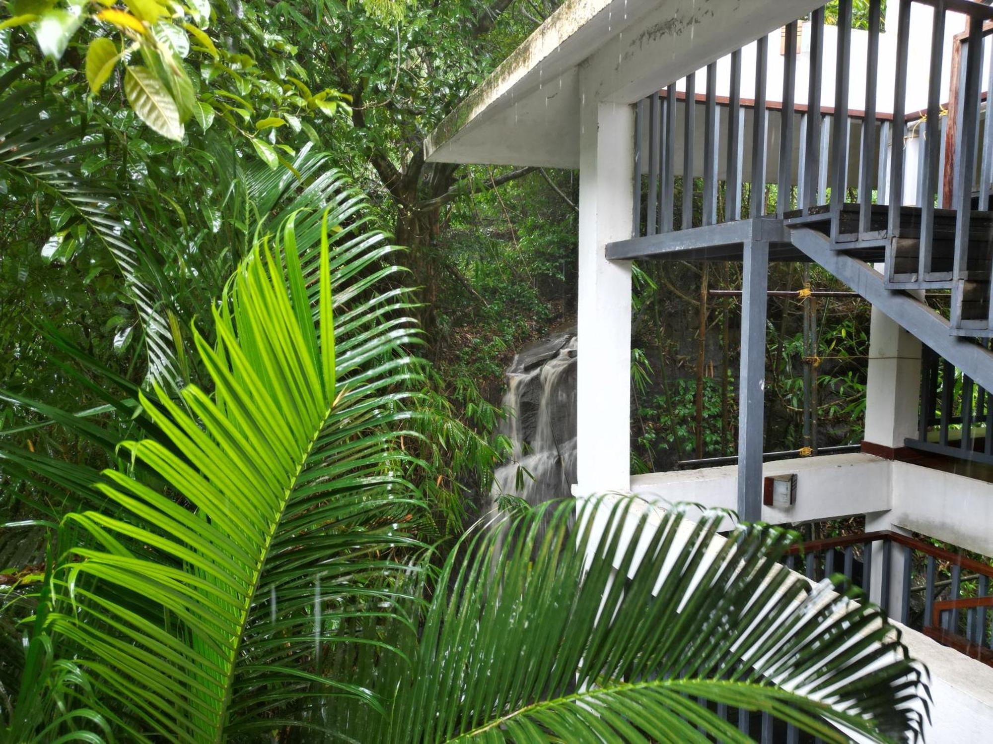 Wayanad Silverwoods Forest Resort & Spa Padinjarathara 외부 사진